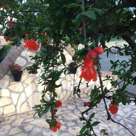 Apartamentos Turisticos Los Llanos