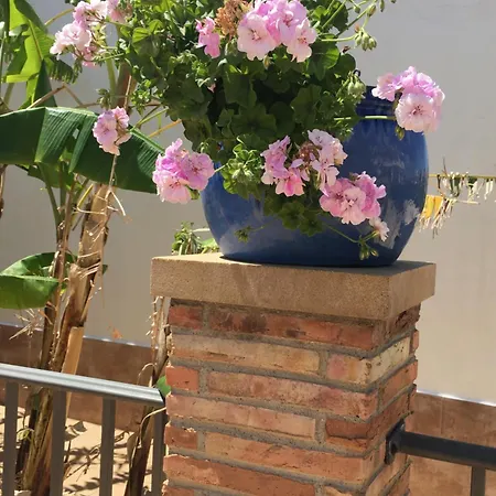 Apartamentos Turisticos Los Llanos Cuevas del Almanzora